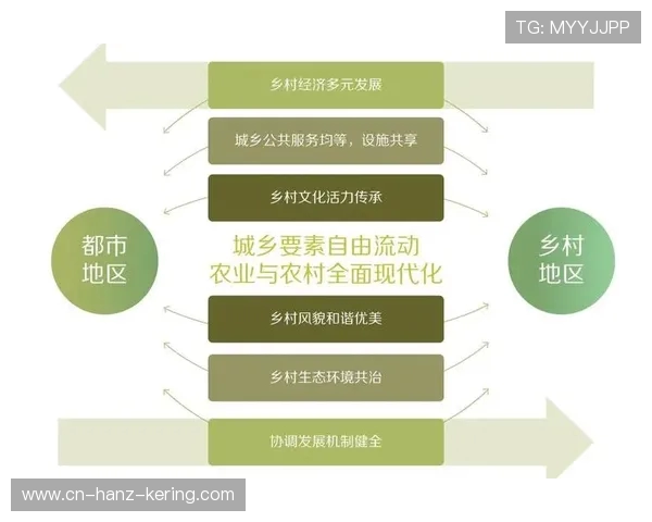 西安极限运动队的运营模式与发展趋势深度解析